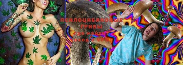 мескалин Козловка