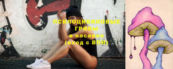 мескалин Козловка