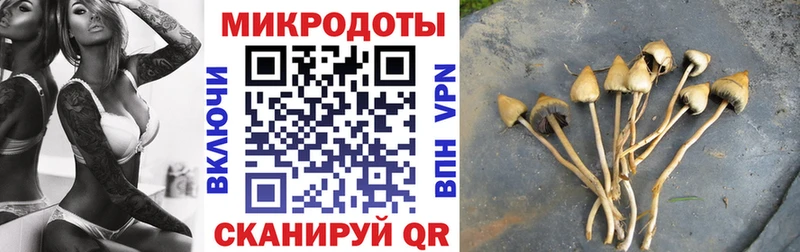 Псилоцибиновые грибы ЛСД omg зеркало дарк нет клад как найти Мелеуз