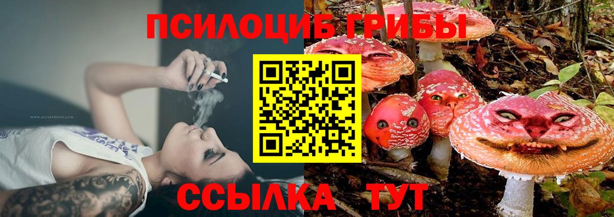 Мелеуз  Галлюциногенные грибы прущие грибы  Галлюциногенные грибы мицелий  Вход с VPN 